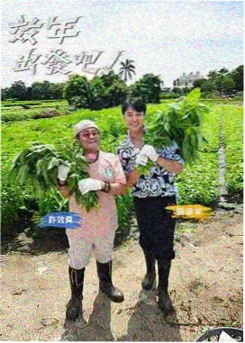 脱口秀大会6 综艺 2025 谭晓虹